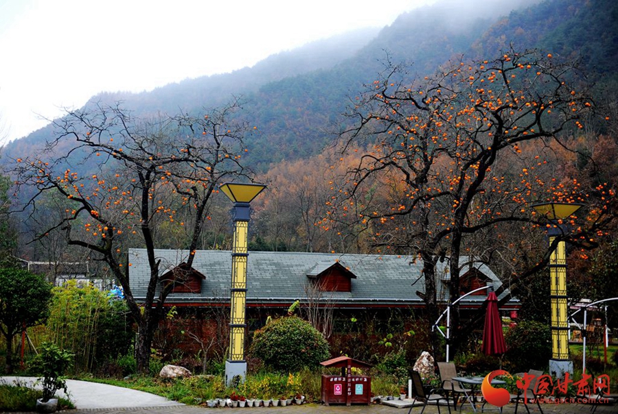 】山水清韵花桥村 乡村旅游富民路尊龙凯时人生就博登录【领航新征程(图5)